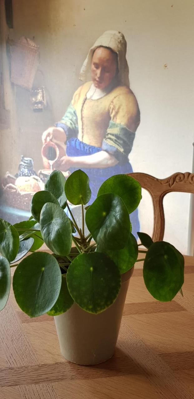 B&B Bergenhof — Hoogstraten — photo 4