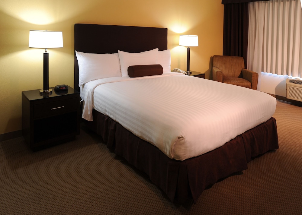Airtel Plaza Hotel - photo 8