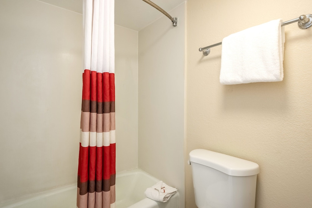 Red Roof Inn Tampa Bay St Petersburg - photo 23