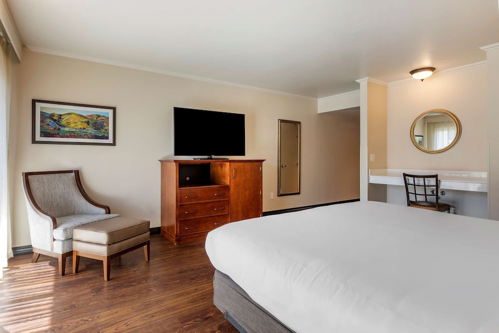Best Western Plus Royal Oak Hotel - photo 10