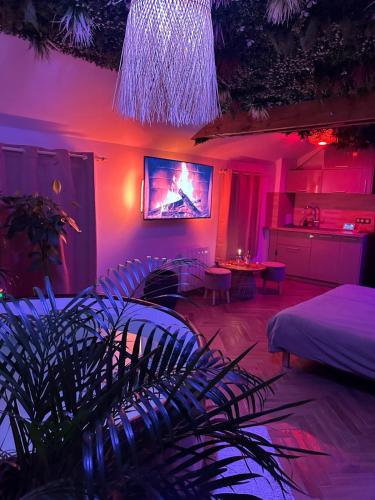 Jacuzzi Exotique Cinema — hotel in Sainte-Genevieve-Des-Bois