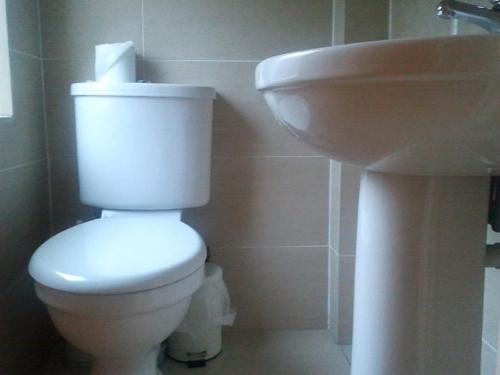 Abbey Hotel - carbon neutral hotel in Edinburgh