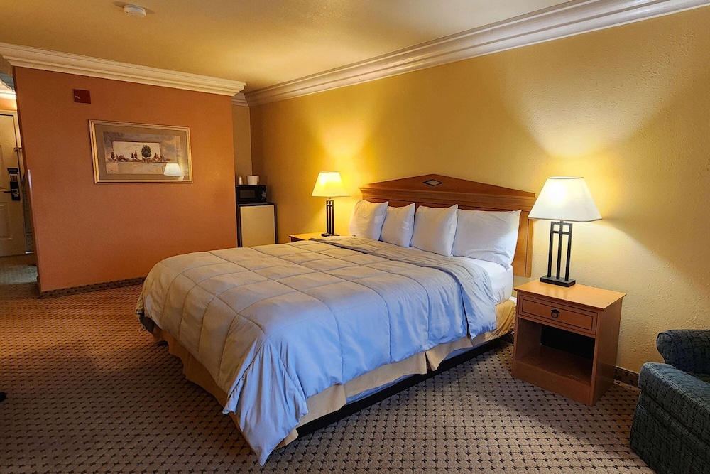 Super 8 by Wyndham Temple I 35 - photo 12