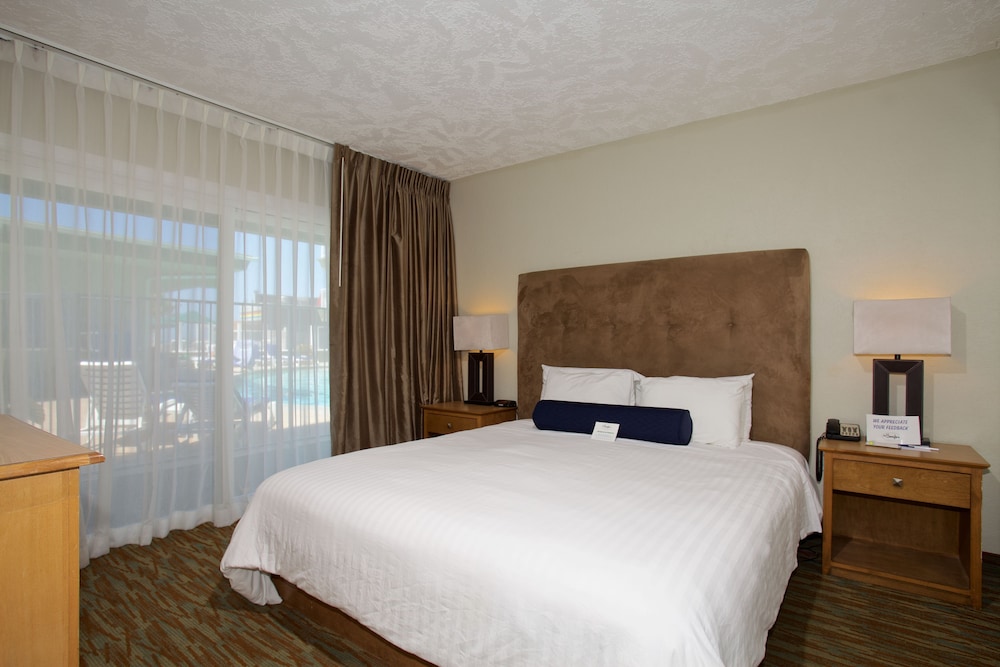 Surfer Beach Hotel - photo 24