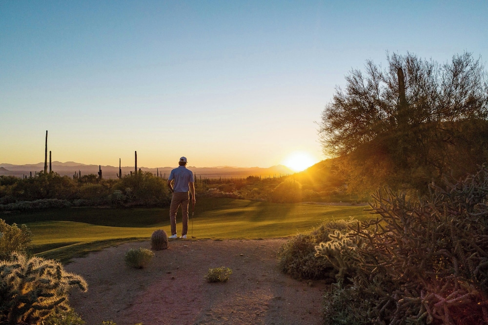 The Ritz Carlton Dove Mountain - photo 71