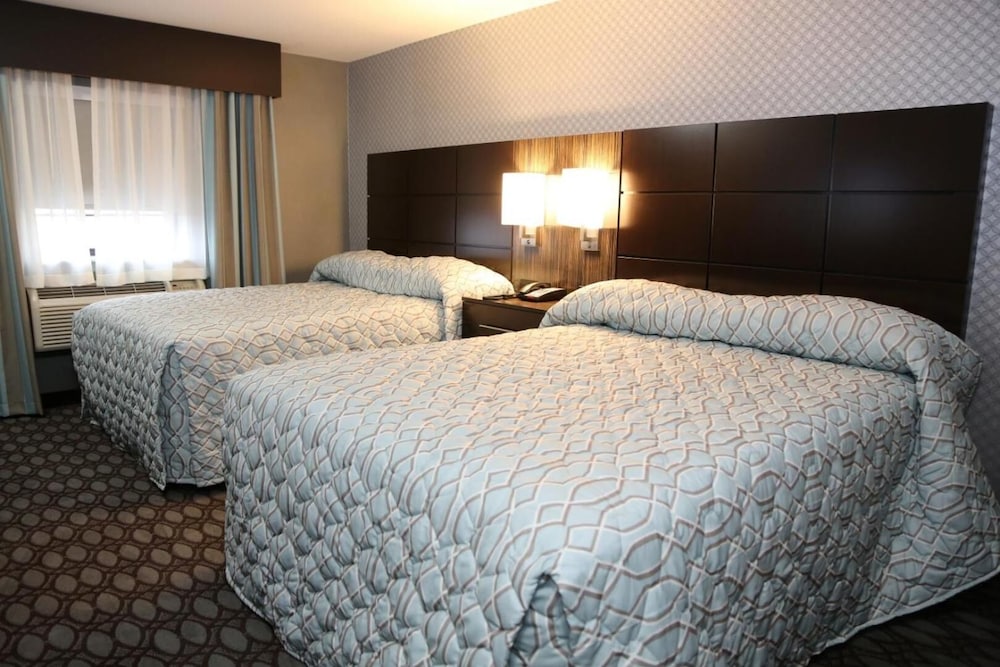 Red Carpet Inn Elmwood Park - photo 15