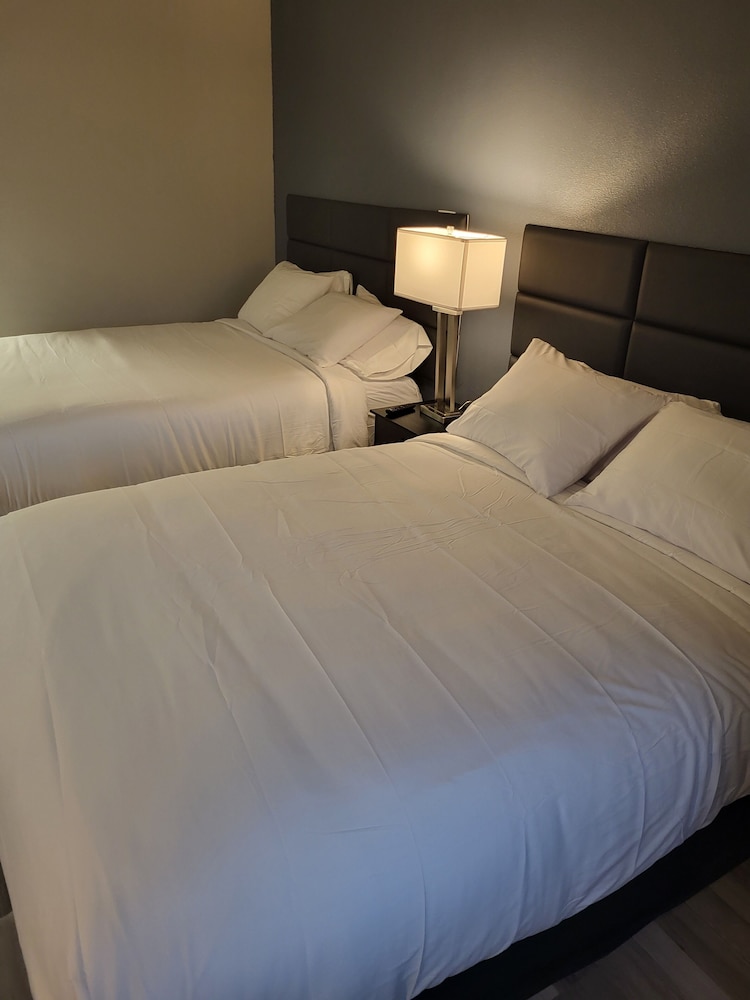 Red Fox Inn and Suites - photo 10