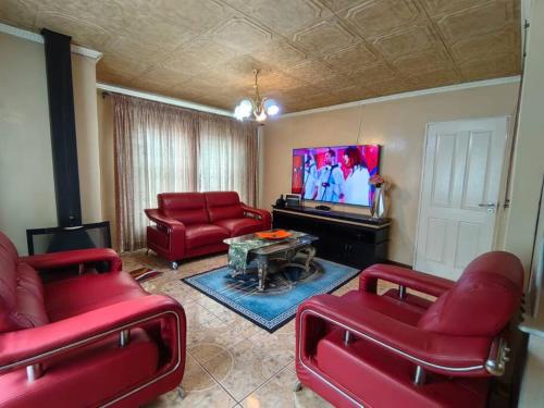 Graceful Grasslands in Bloemfontein, South Africa