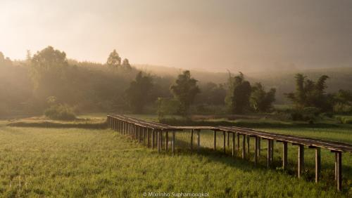 Phuruarounmai Resort in Phu Ruea, Thailand