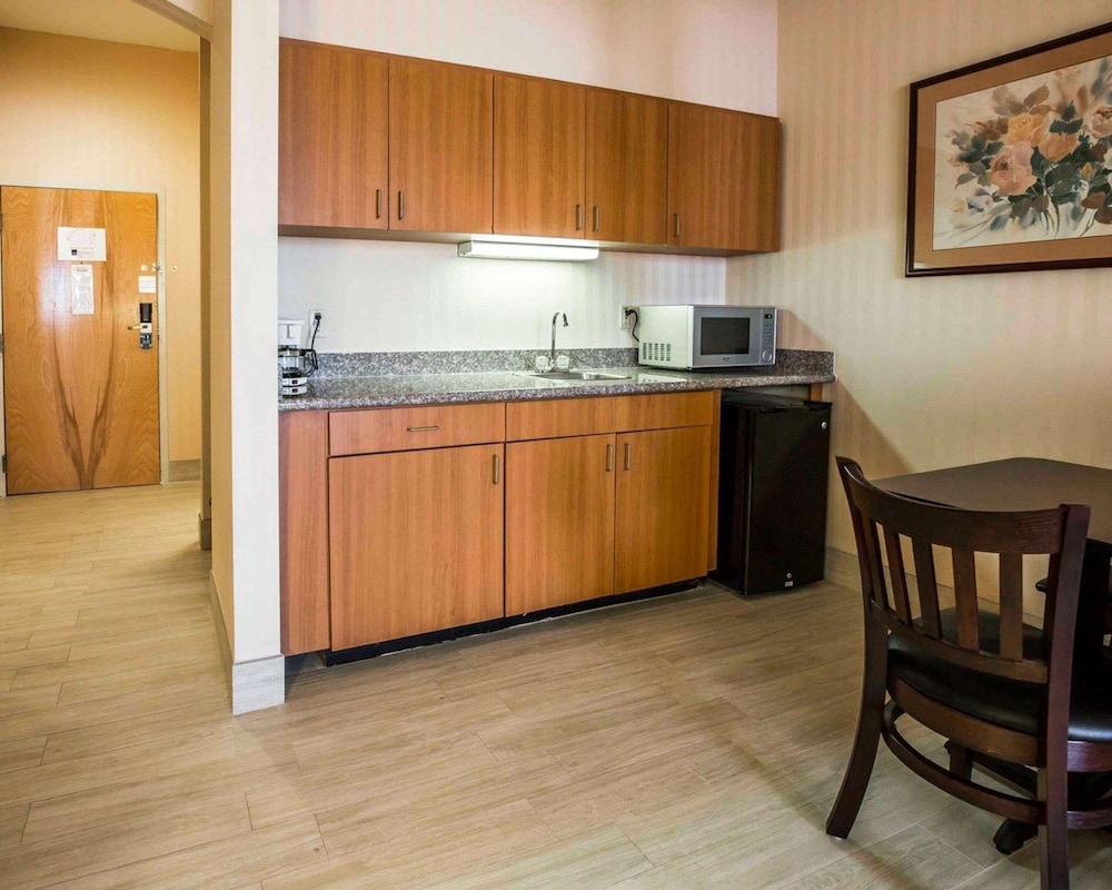 Comfort Suites Stafford Near Sugarland - photo 17