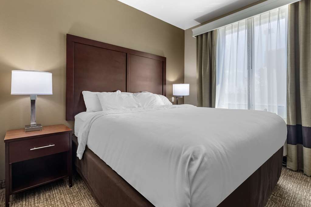 Comfort Suites Plano Dallas North - featured photo