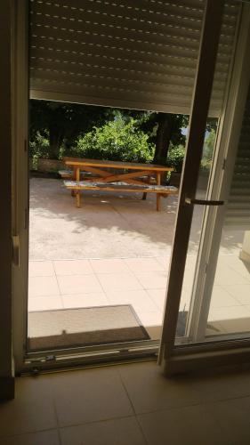 Three lindens in Herceg-Novi, Montenegro