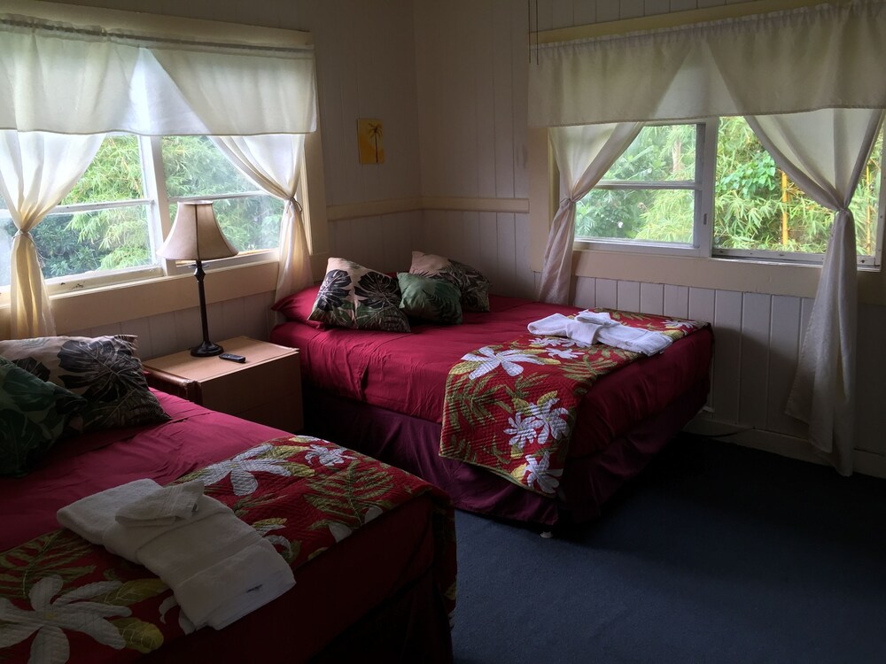 Wild Ginger Inn Hotel - photo 10