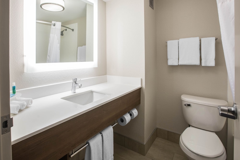 Holiday Inn Express & Suites Ludington by IHG - photo 13