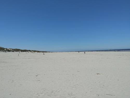 Toplocatie Strand 300 meter en prachtig uitzicht op de duinen no additional costs — 4-Star Luxury Hotel in Nes, Netherlands
