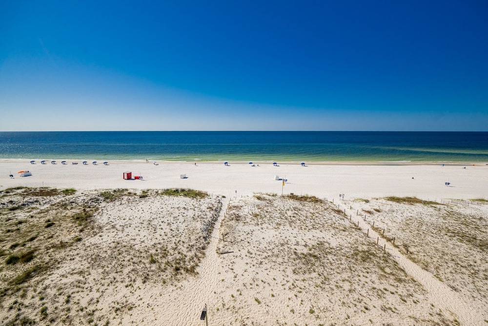 Driftwood Towers 6d 2 Bedroom Condo - photo 24