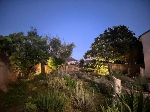 Lapad Holiday Apartment