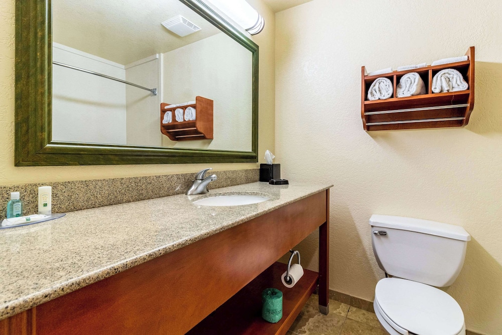 Quality Inn Texas City I 45 - photo 13