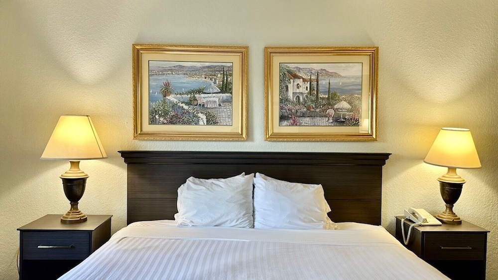 Ruskin Inn Hotel - photo 28