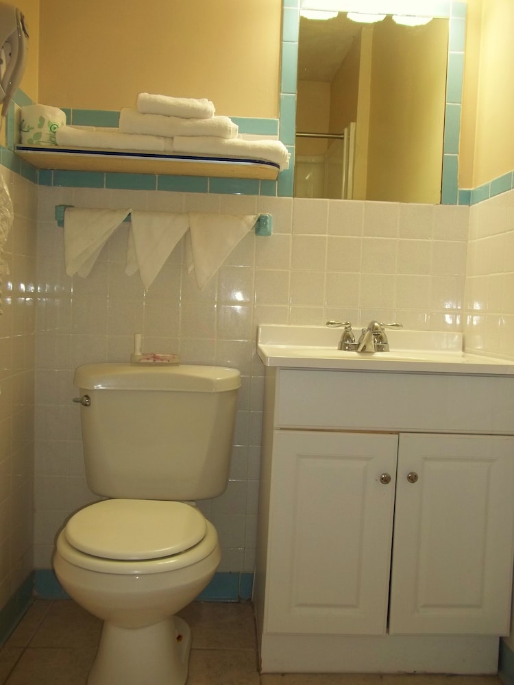 Royal Motel - photo 33