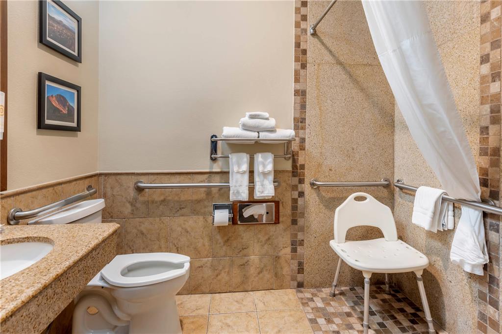 Comfort Inn & Suites Durango - photo 24