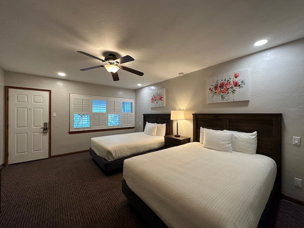 Bluebird Inn - photo 5