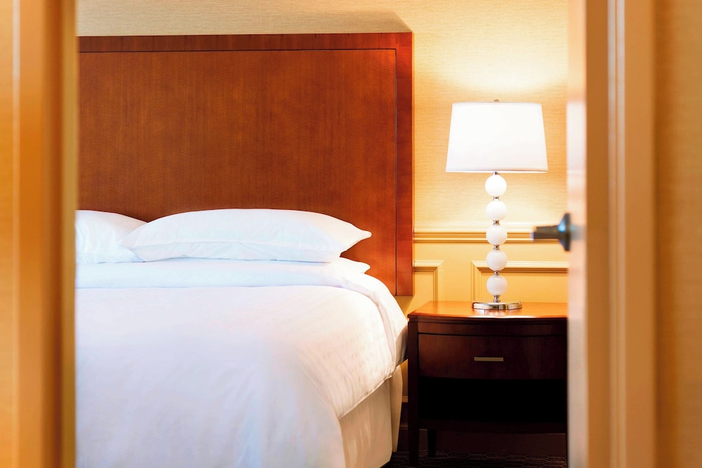 Sheraton Hartford Hotel at Bradley Airport - photo 9