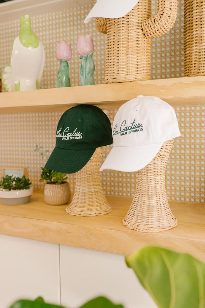 Les Cactus - photo 23