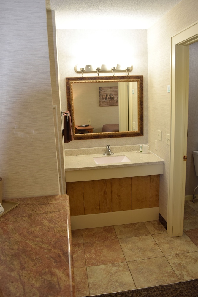 Mountain View Hotel - photo 4
