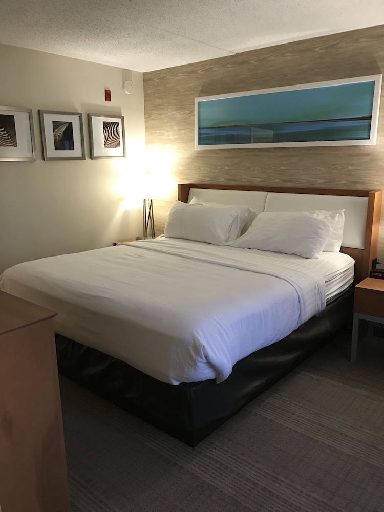 Holiday Inn & Suites Bolingbrook by IHG - photo 7