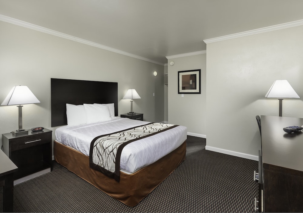 Thunderbird Lodge - photo 13
