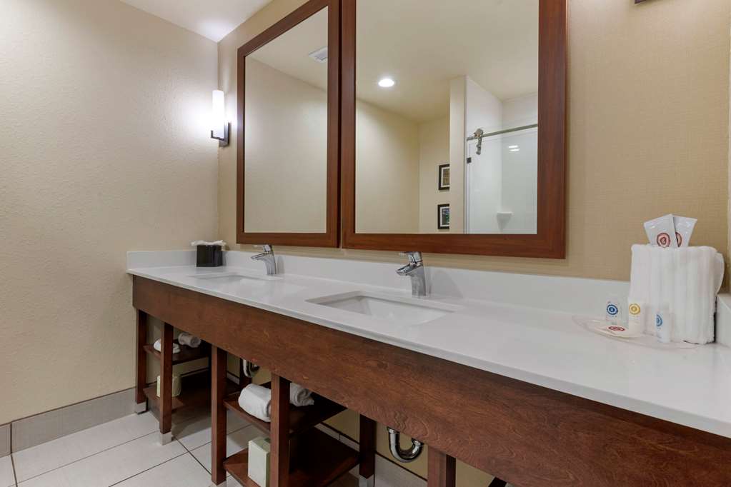 Comfort Suites Piedmont Greenville South - photo 30