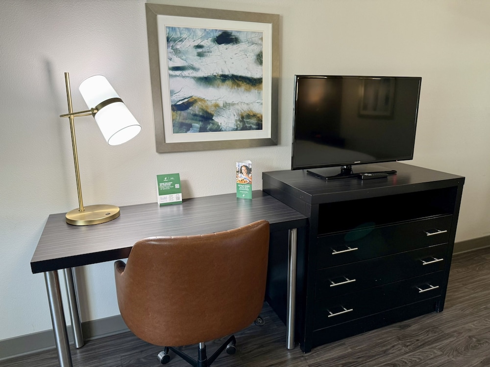 Holiday Inn Carlsbad by IHG - photo 18