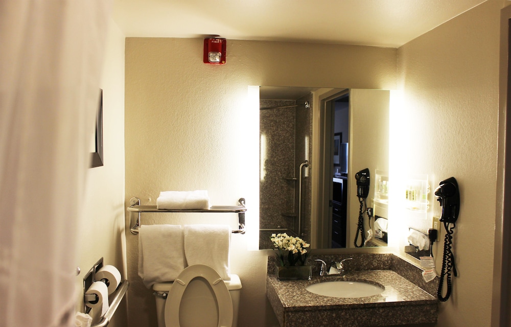 Holiday Inn Atlanta Northlake by IHG - photo 16