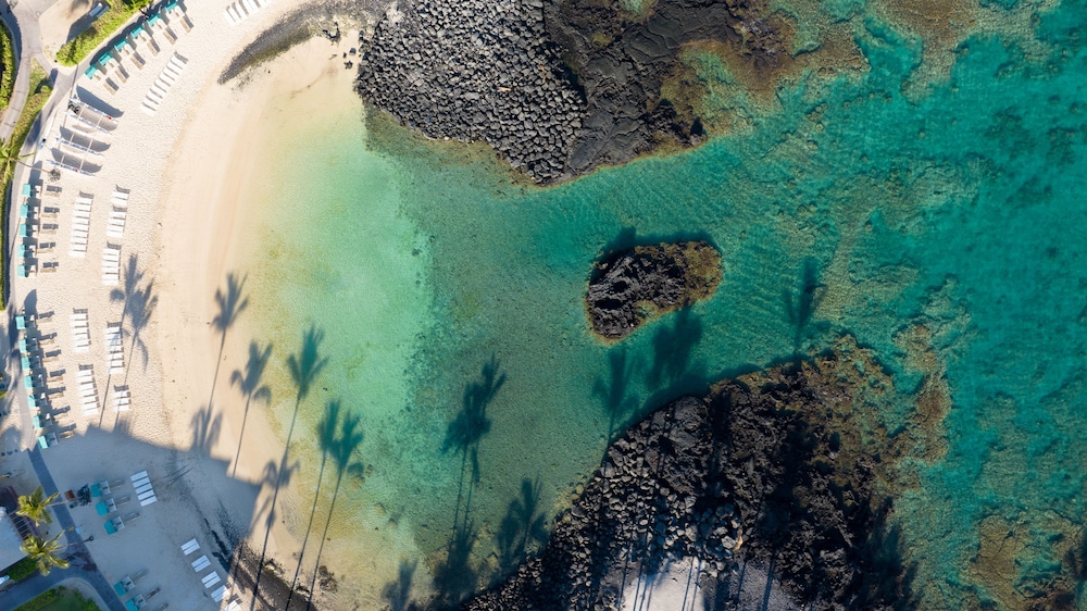 Fairmont Orchid - photo 163