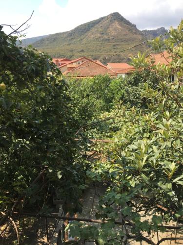 Mtskheta Wellpoint Arsukidze 48
