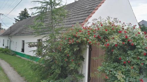 Chalupa U Čápů in Brno, Czech Republic