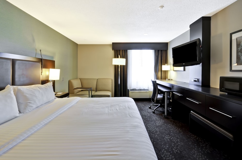 Holiday Inn Express Romulus Detroit Airport - photo 11