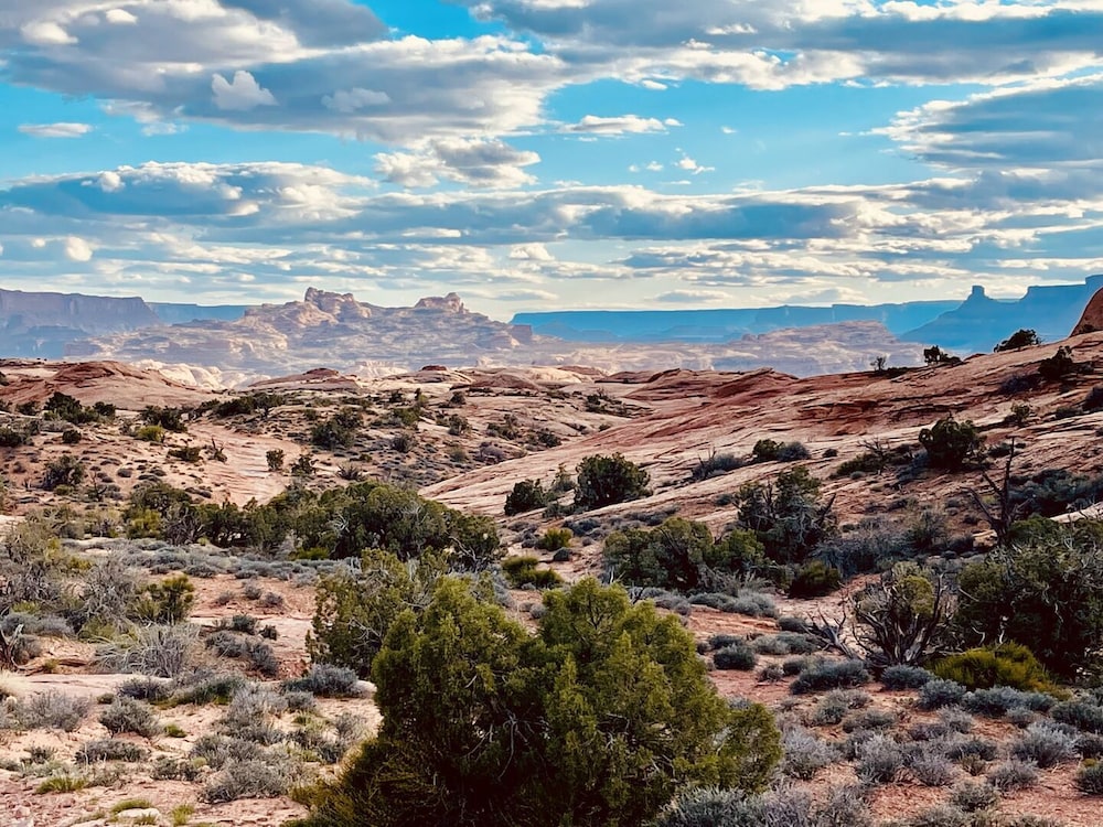 Entrada at Moab 635 - photo 40