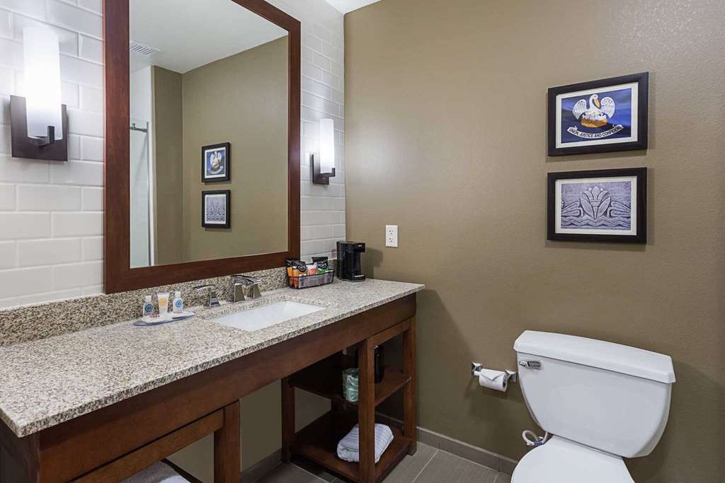 Comfort Inn & Suites Zachary - photo 24