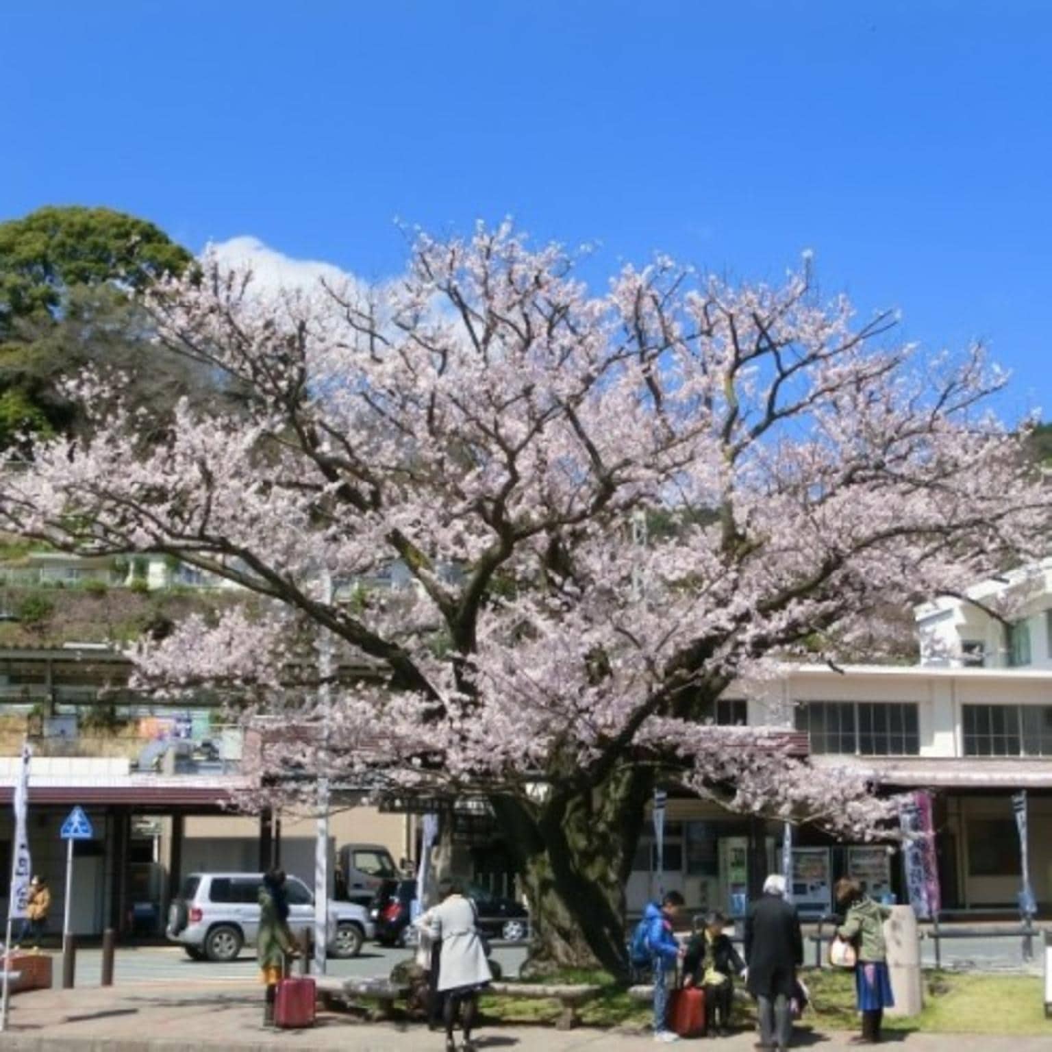 Kawasegien Isuzu Hotel — 4-Star Luxury Hotel in Atami, Japan