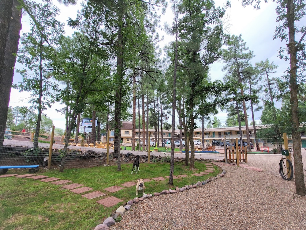 The Nook Pinetop - photo 23