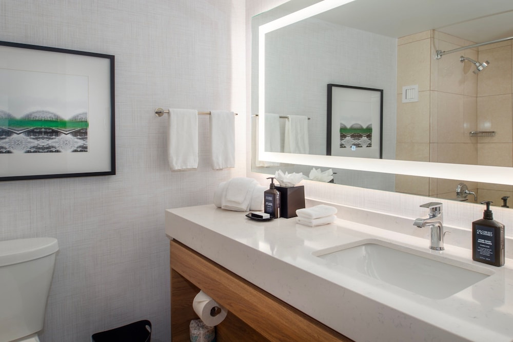 Sheraton Westport Plaza Hotel St. Louis - photo 31