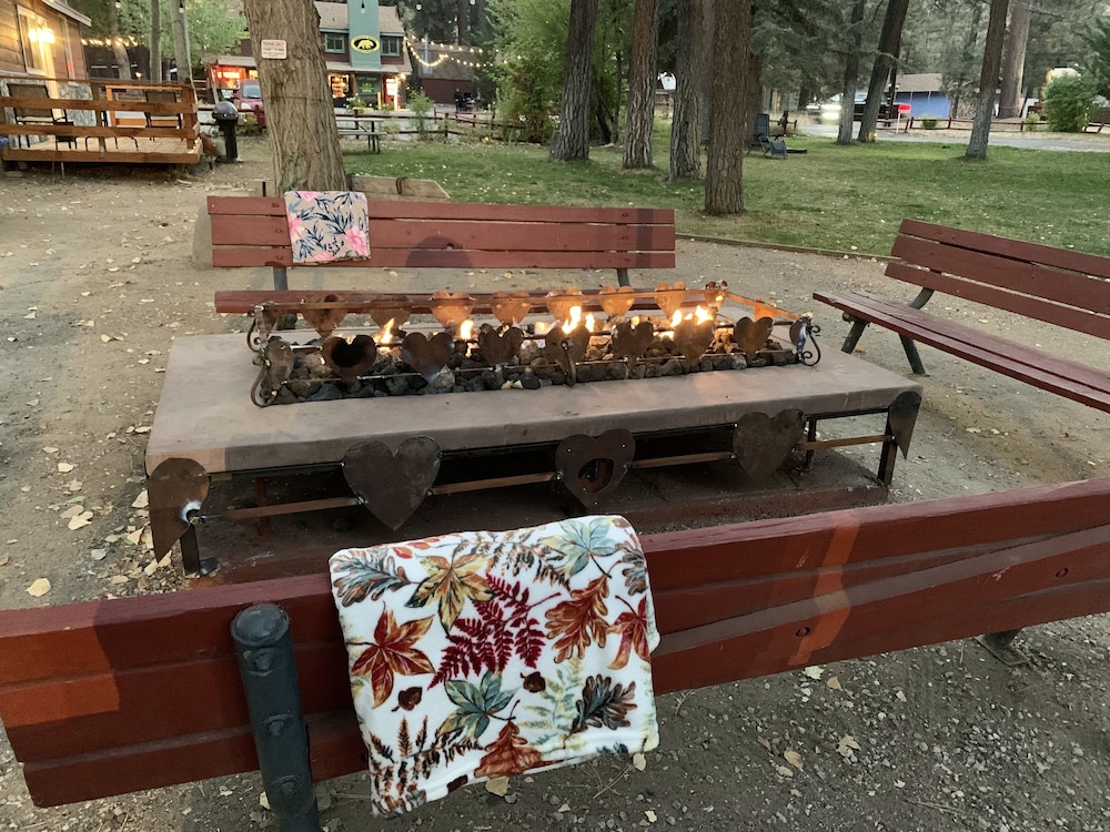 Grey Squirrel Resort - photo 160