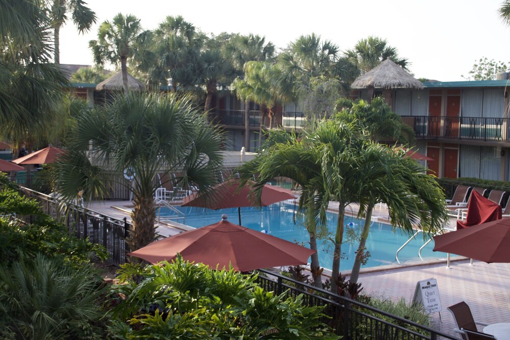 Magic Tree Resort by Coolvacay - photo 28