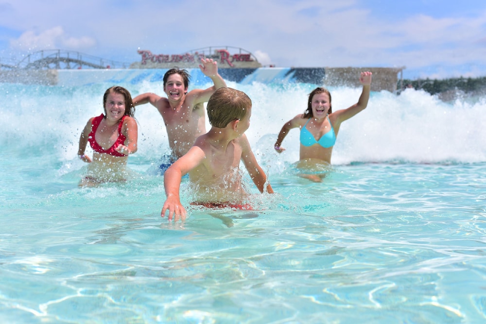 Mt. Olympus Water & Theme Park Resort - photo 60