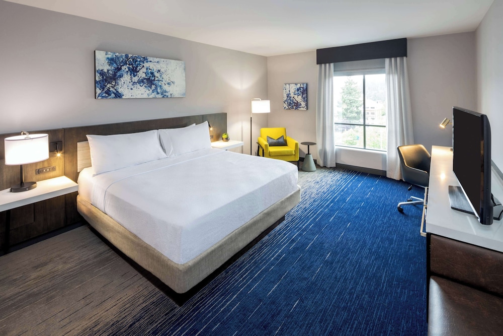 Hilton Garden Inn Redmond Seattle - photo 9