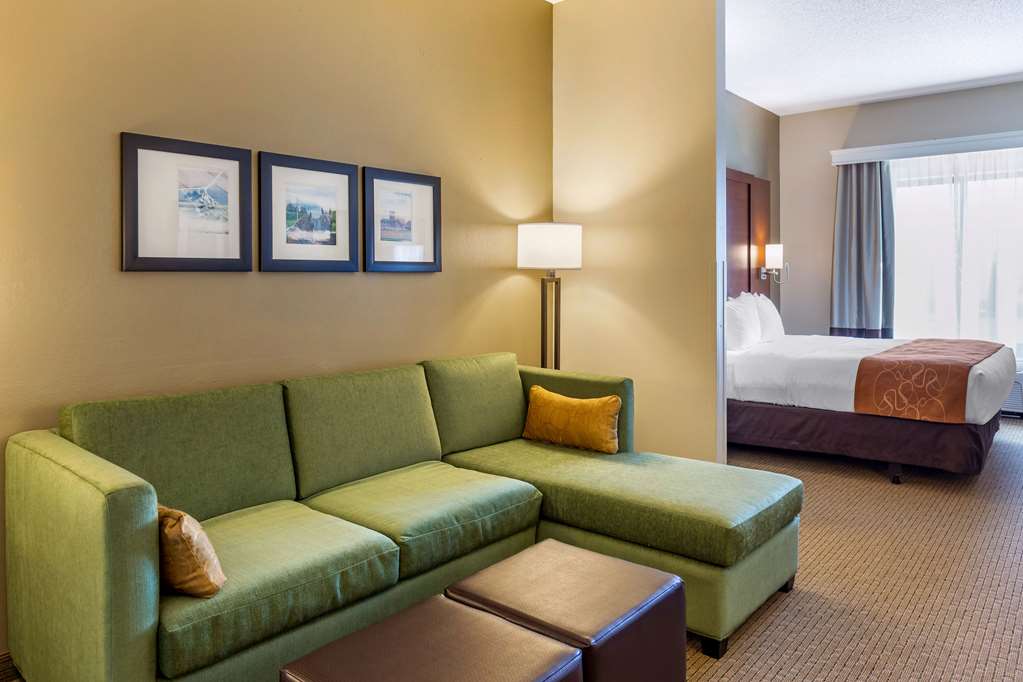 Comfort Suites Lancaster Amish Country - photo 12