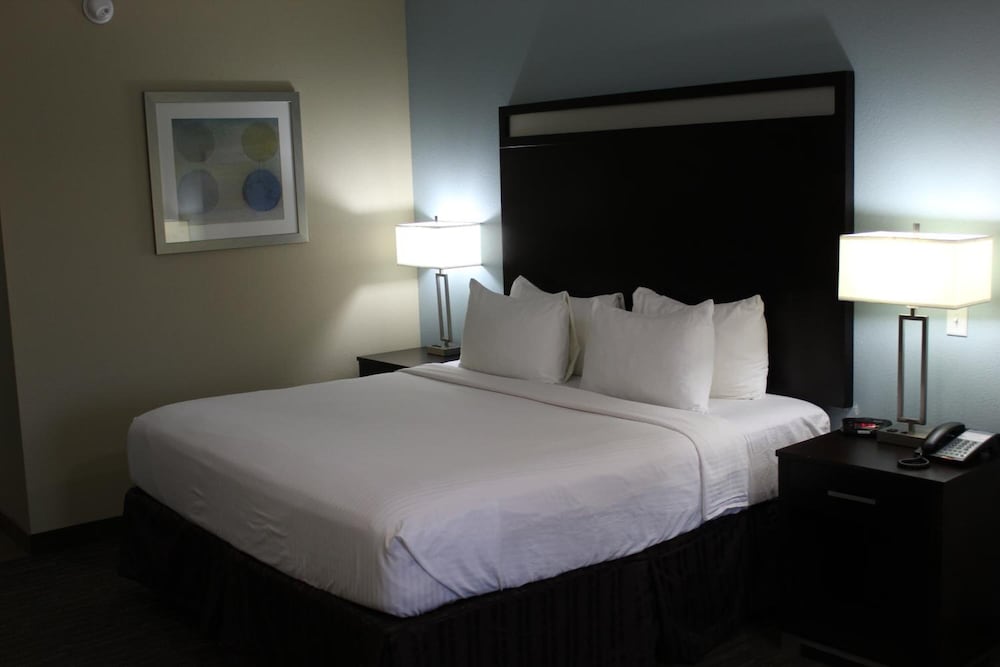 Horizon Inn & Suites Pearsall - photo 13