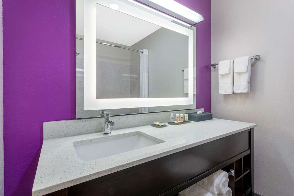 La Quinta Inn & Suites by Wyndham Tampa Bay Area Tampa South - photo 20